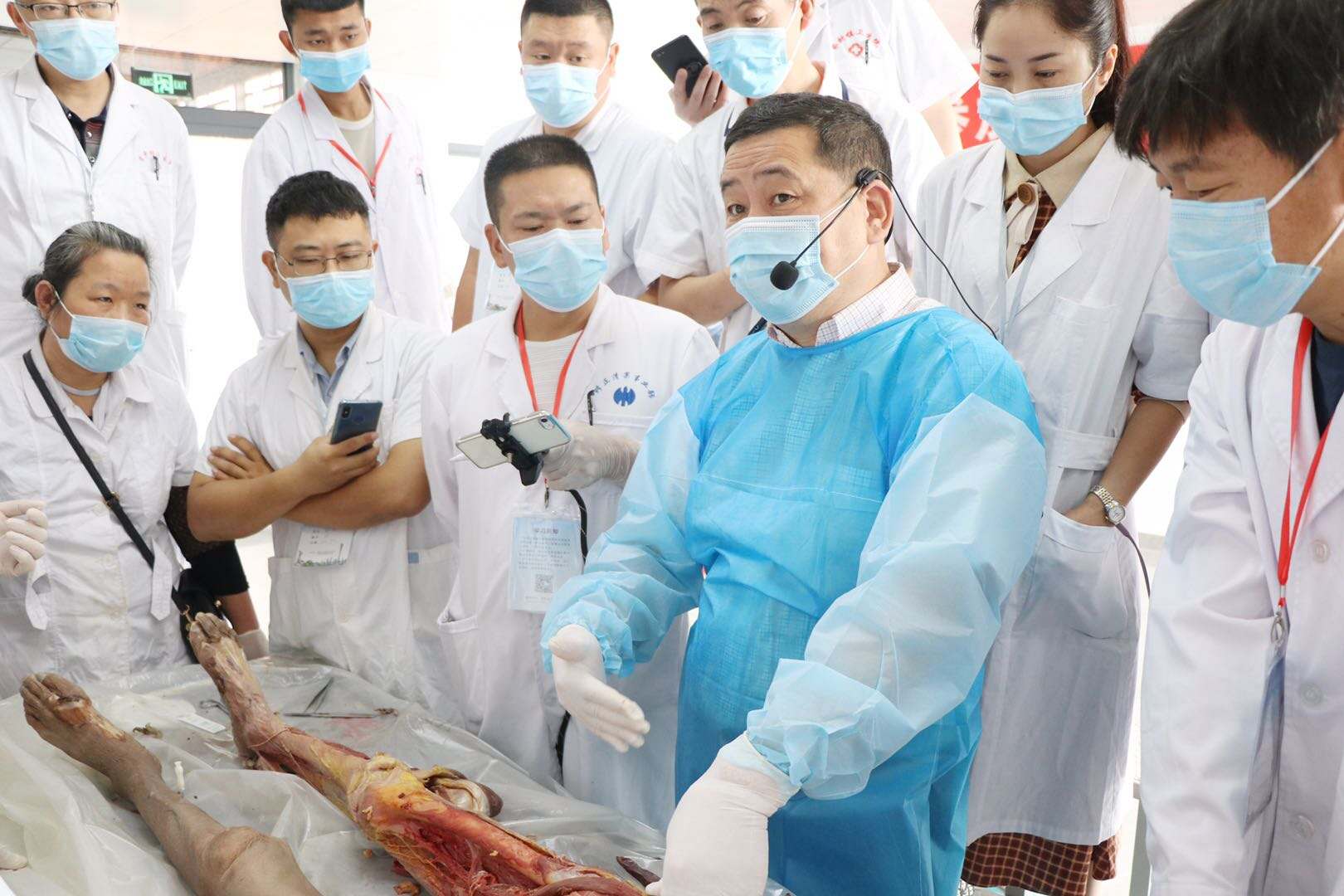 针刀新鲜人体解剖及临床实战班3月15日 在郑州开课